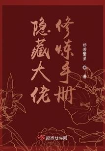 2017注会会计东奥