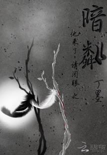 有哪些会计做账价格低