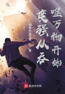 公司新招的会计专业