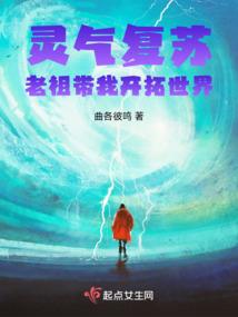 会计师都要考什么证书