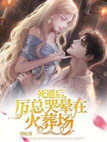 基础会计视频百度云