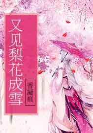 初级会计23上午预测
