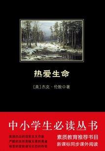 东奥会主火炬翻车