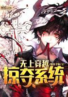 台湾会计师查询