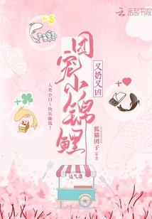 红圈会计
