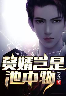 2017东奥cpa审计视频
