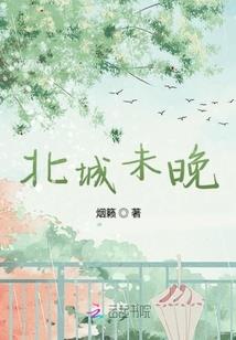 06东奥会冰球决赛