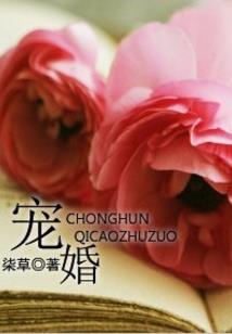 初级会计系列名称