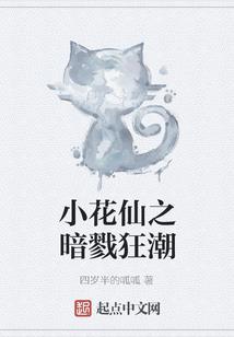 昆山助理会计师报名