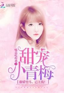 方振峰高级会计师