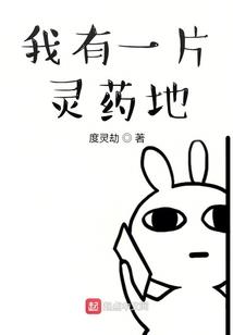 在小学当会计怎么样