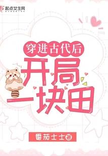福建会计师培训