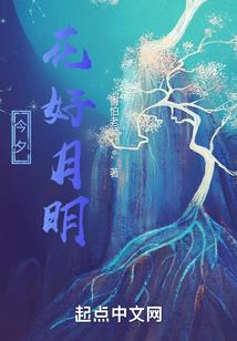 高级会计师优秀论文