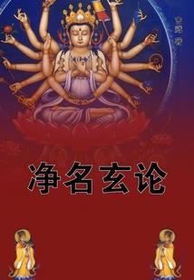 会计师很牛