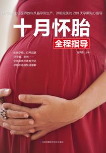 e财税系统