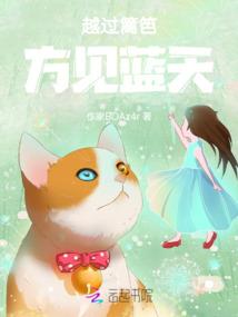 加盐会计是什么公司