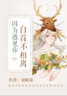 这周会计类考试
