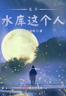 财税咨询有限公司
