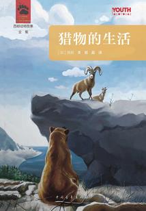 佳木斯会计师培训机构