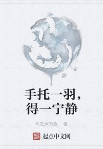 财政案例格式