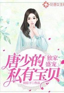 油费政府会计分录