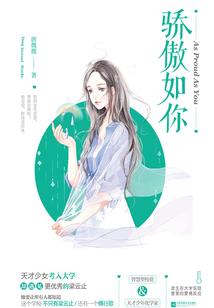 注册会计师与外审