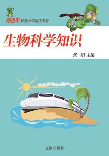 政府会计支付分录