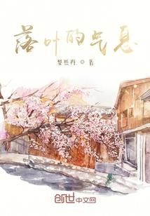 会计骗贷罪